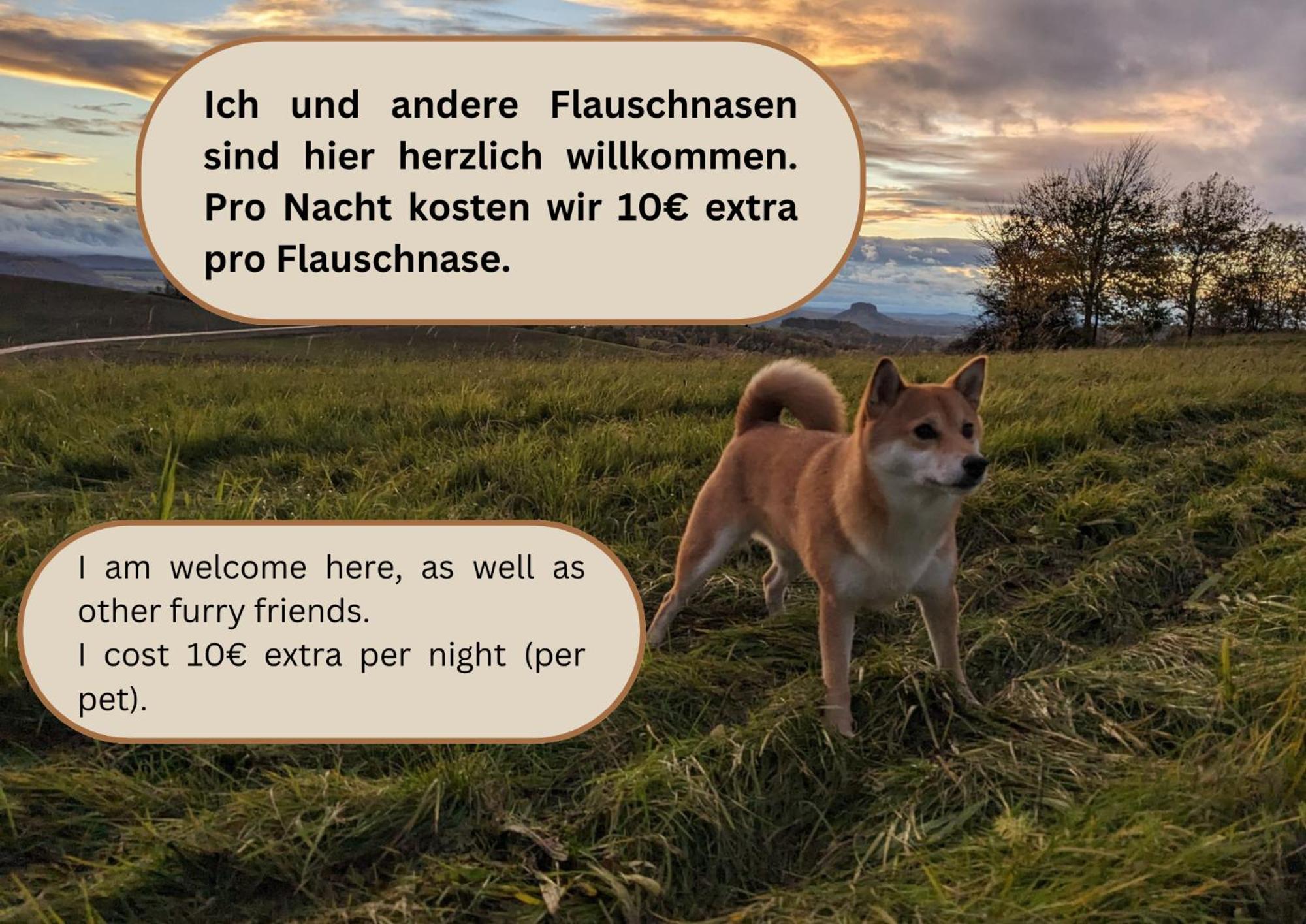 S1 - Urlaubsmagie - Direkt Loswandern, Bis Zu 4P Sebnitz Exterior photo